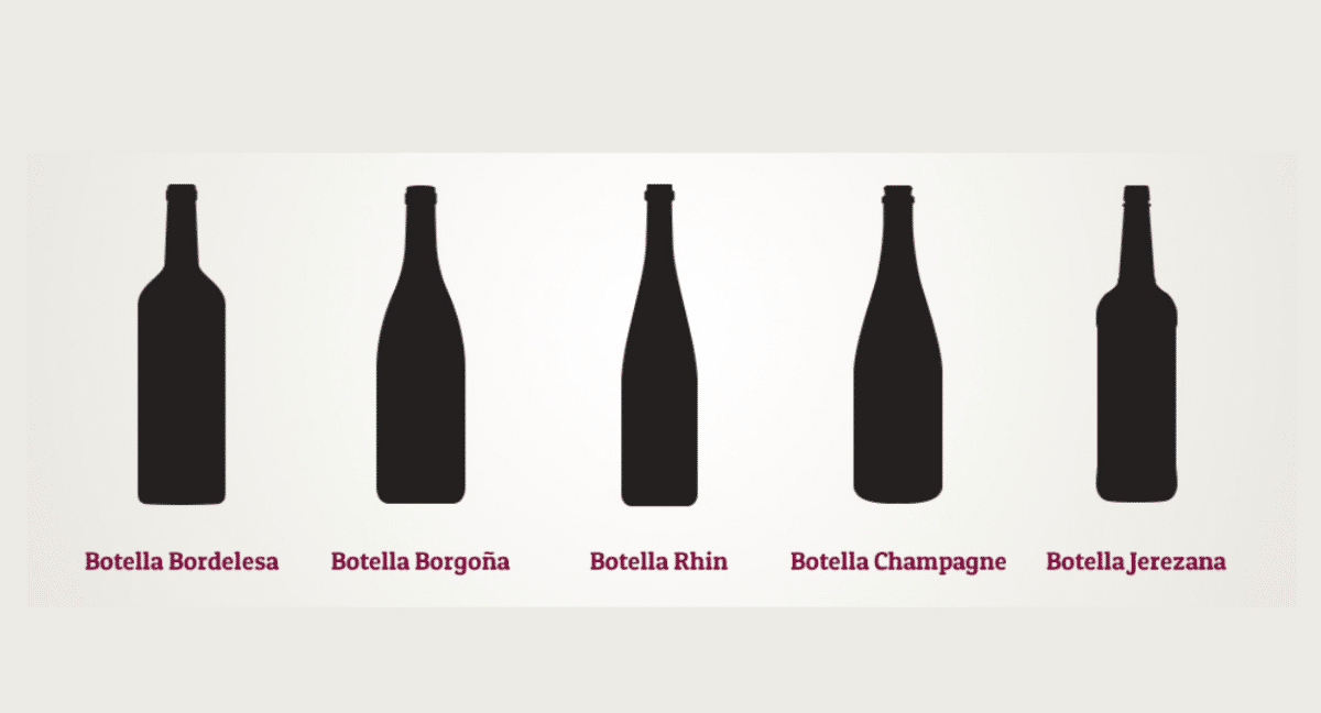 Bordelesa, borgoñesa, Rhin… conoce los diferentes tipos de botellas de vino