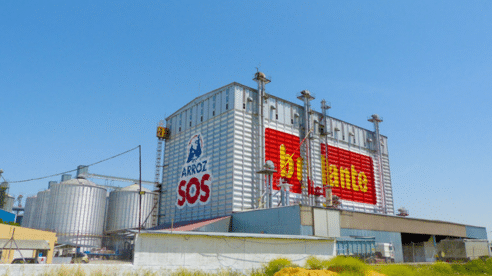 Ebro Foods teme la prolongación de la sequía tras perder el 50% de la siembra andaluza en 2021