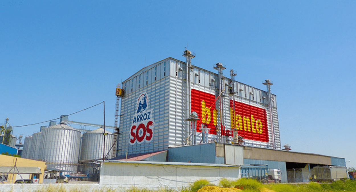Ebro Foods teme la prolongación de la sequía tras perder el 50% de la siembra andaluza en 2021