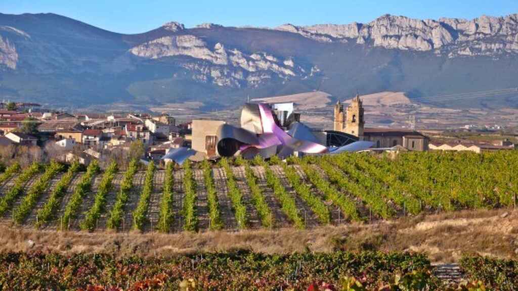 Cónclave en DOCa Rioja para decidir nuevas medidas frente al órdago de Viñedos de Álava