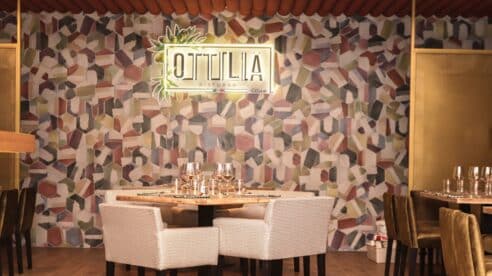 La familia Ottica crece con el hermano italiano Ottilia