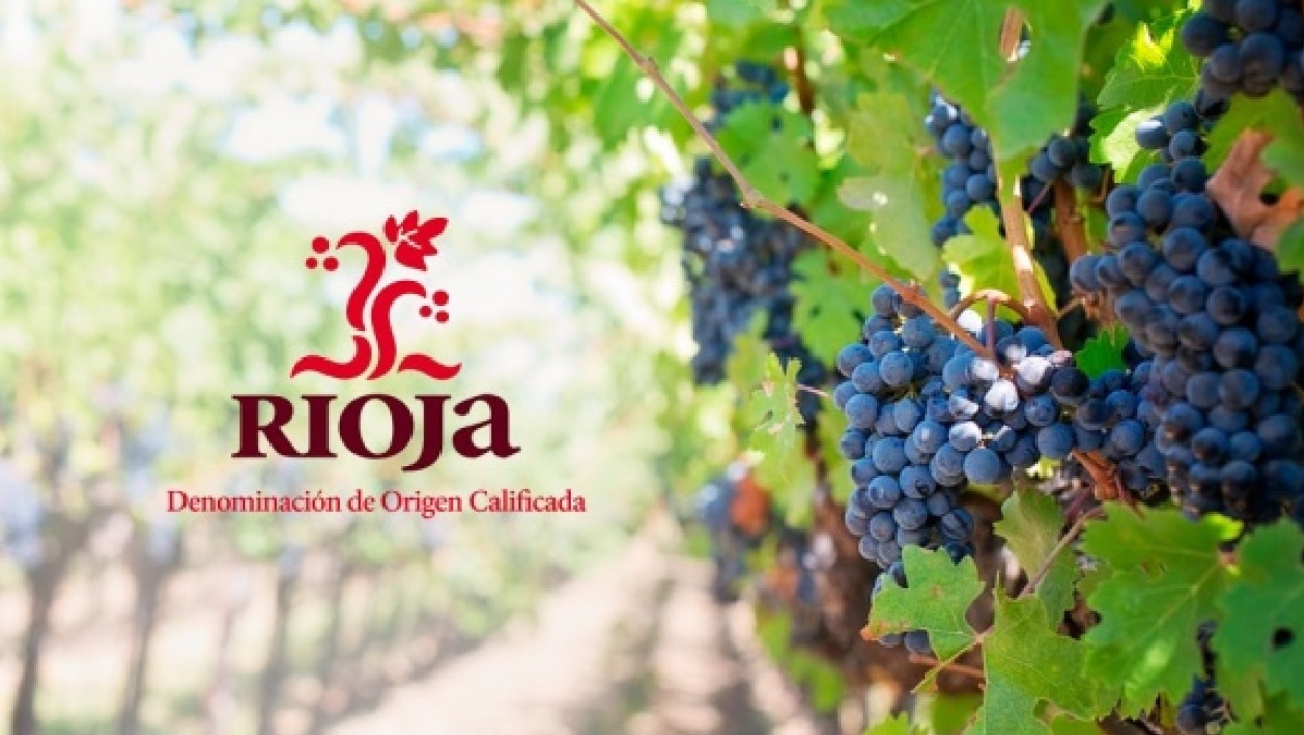 La DOCa Rioja ajustará la producción de las vendimias para dinamizar sus ventas