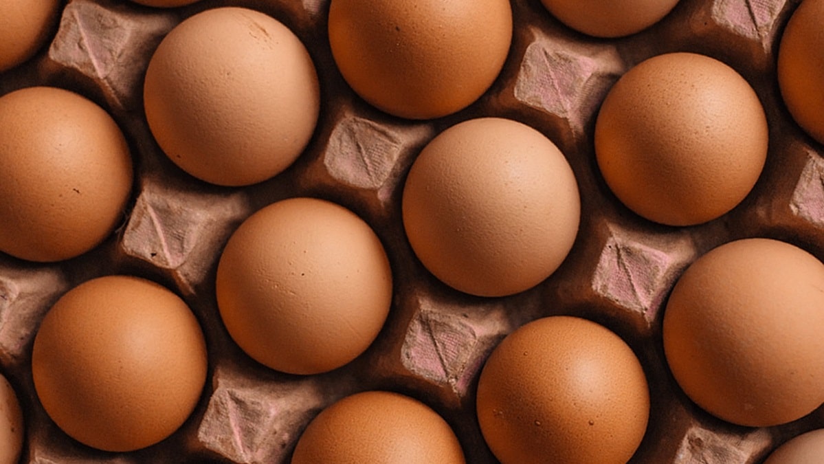 Bares y restaurantes podrán usar huevos frescos