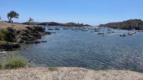 Estrella Damm se compromete a restaurar un bosque marino en el Parque Natural de Cap de Creus