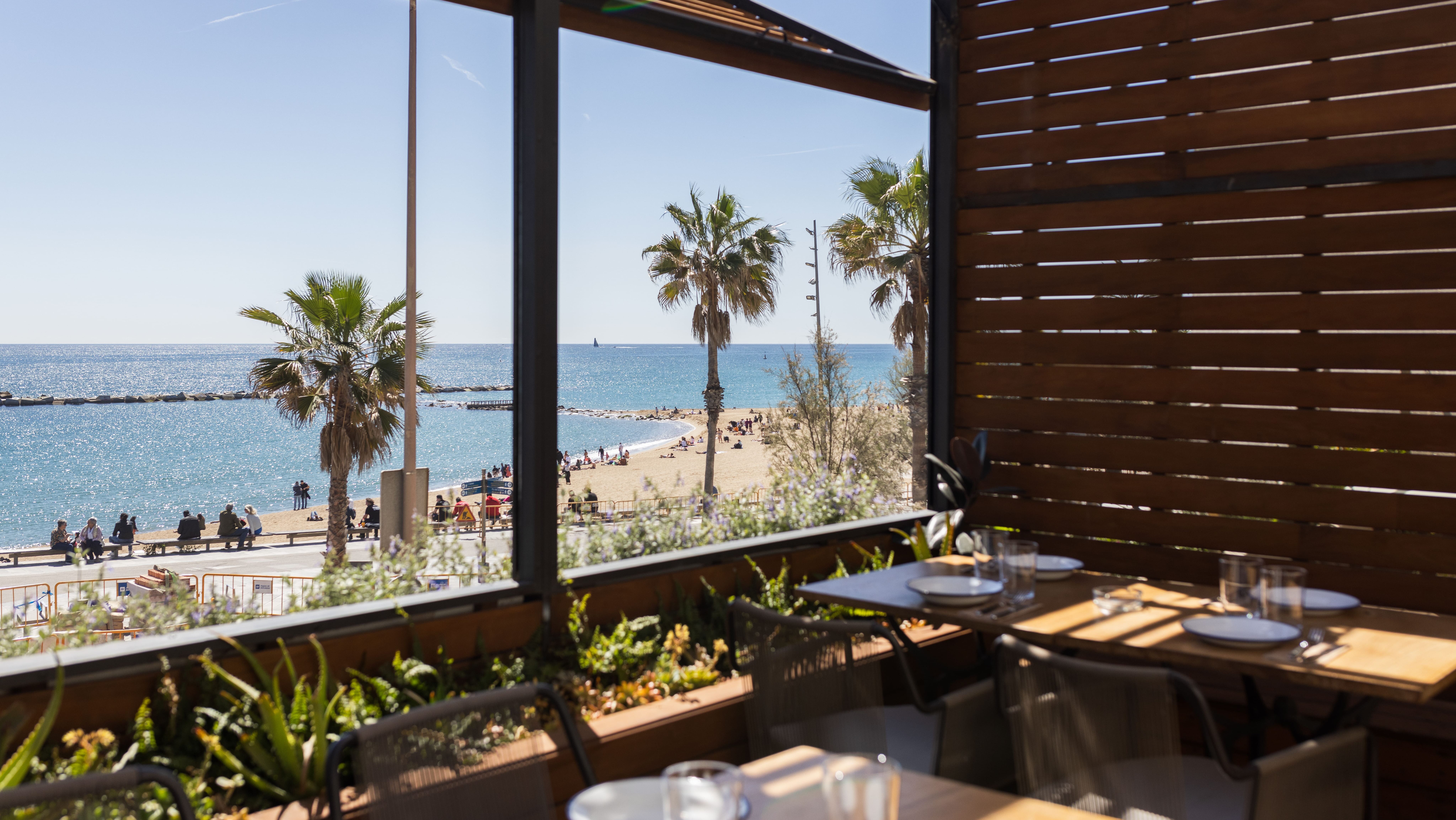 Barraca, en primera línea de la playa de la Barceloneta